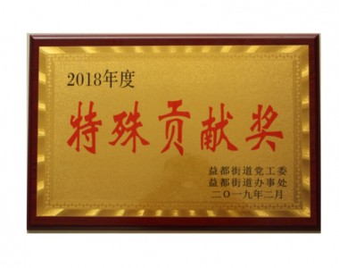 2018年度特殊貢獻獎